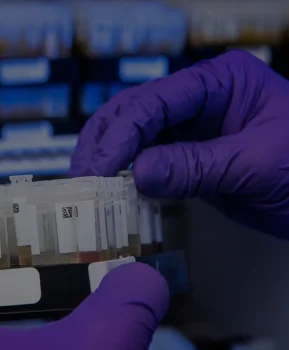Laboratorios